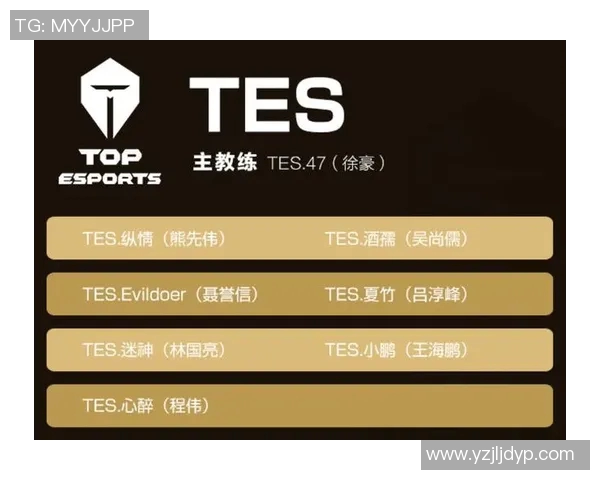 电竞数据深入解析王者荣耀TES战术布局与团队协作的成功之道